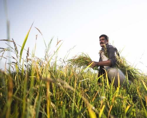 Farmer-Centric-Philosophy