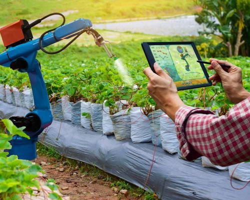 Research & Innovation