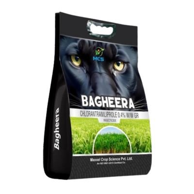Bagheera