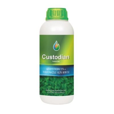 Custodian