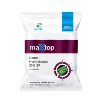 Maxtop