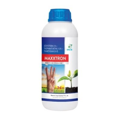Maxxtron